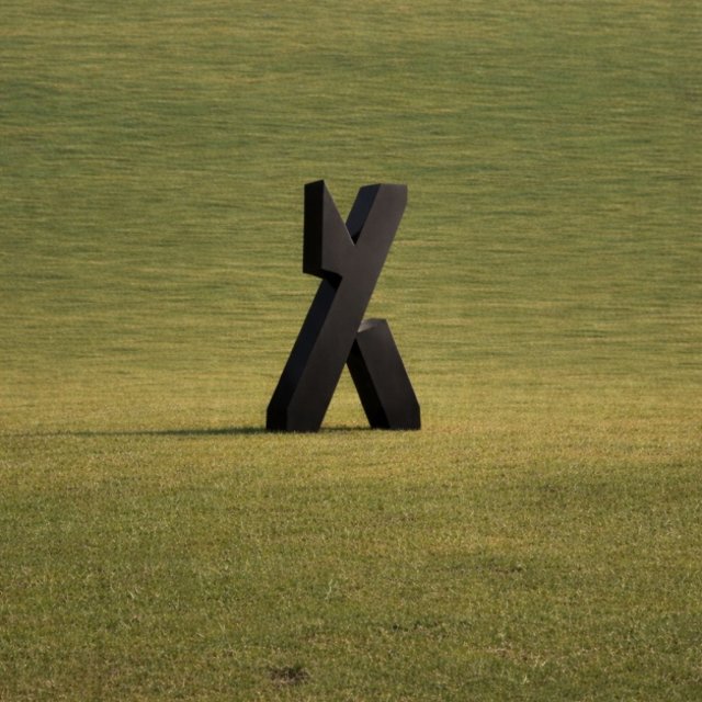 Ein X auf der Wiese