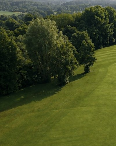 Ein Golfplatz im Wald