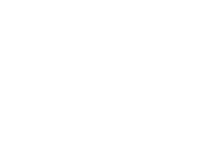 Logo: Vier Jahreszeiten am Schluchsee